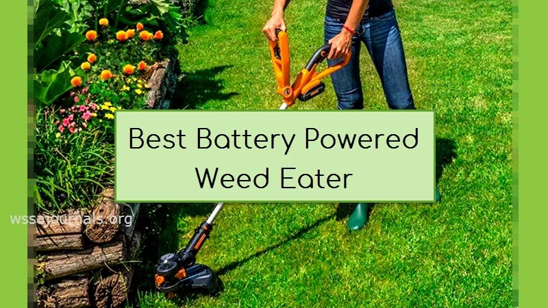 best-battery-powered-weed-eater-for-lawns-gardens